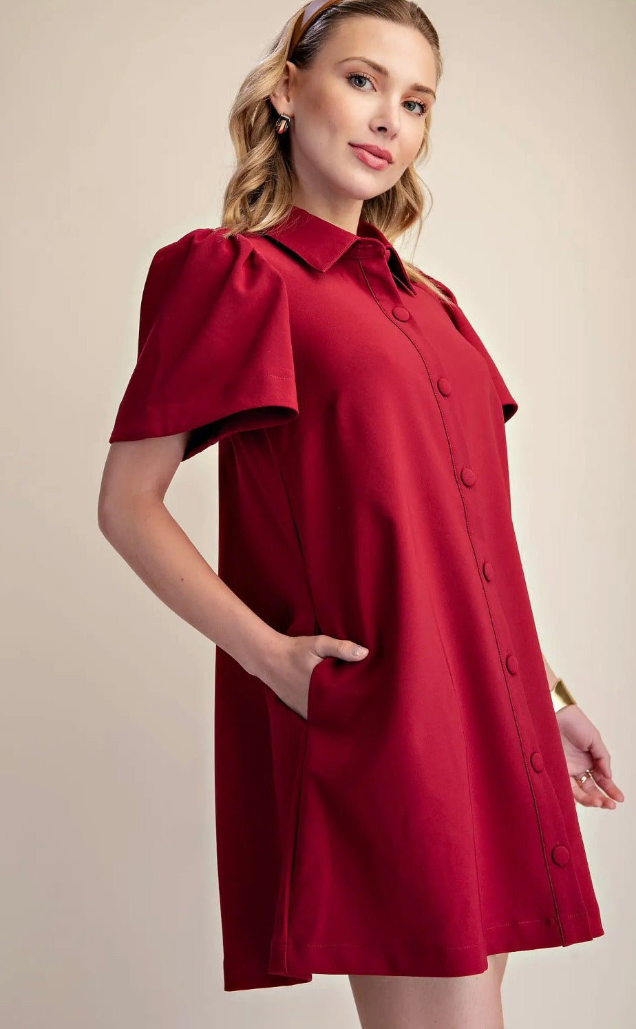 Burgundy button down dress