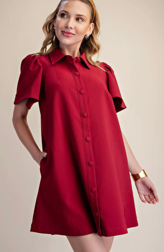 Burgundy button down dress